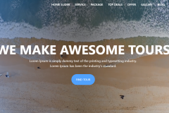 Tours and Travels Website  